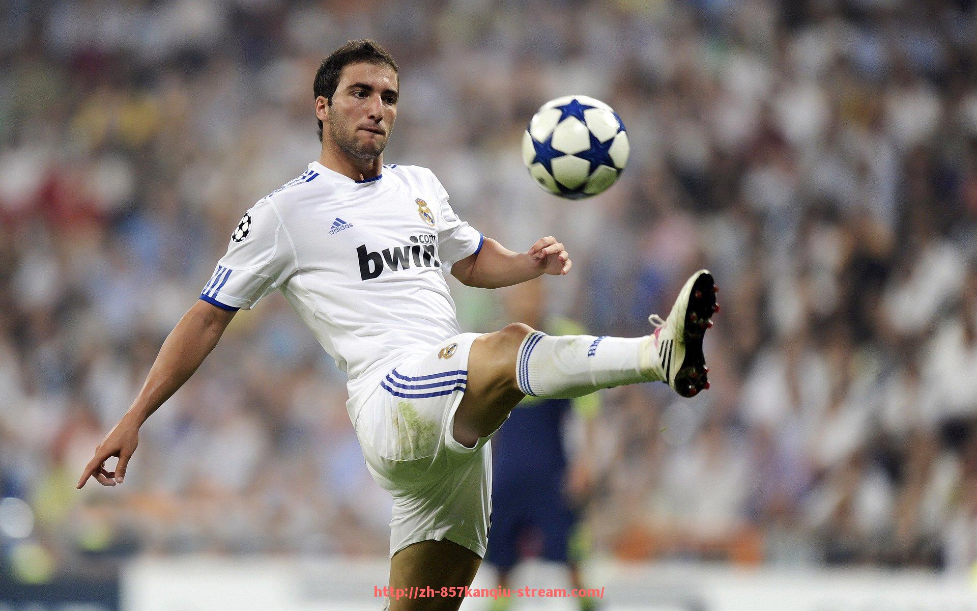 857直播看球平台-广东佛山CBA球队的历史与球队建设