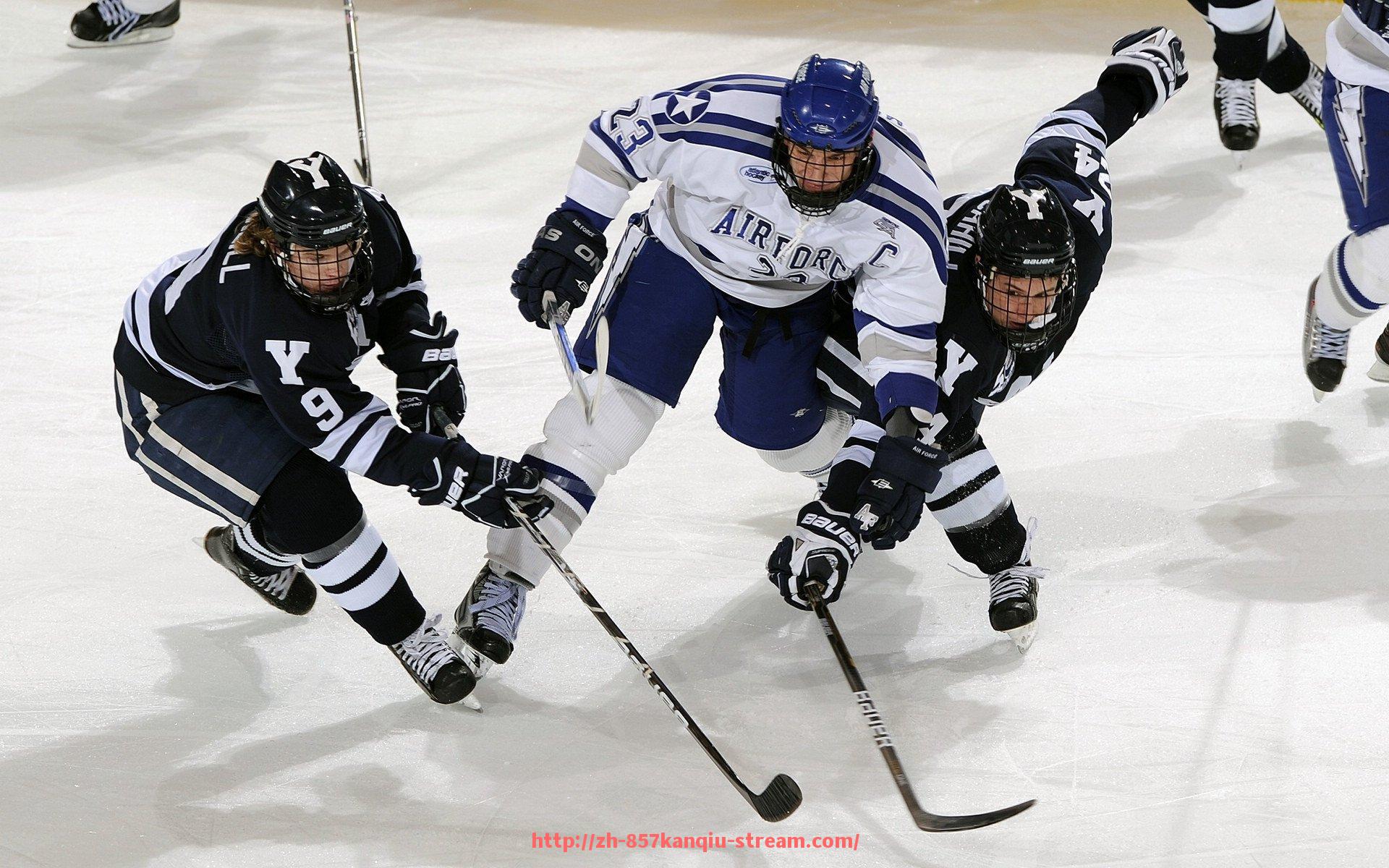 857直播看球平台-德甲各俱乐部有多少注册球员参与本赛季？